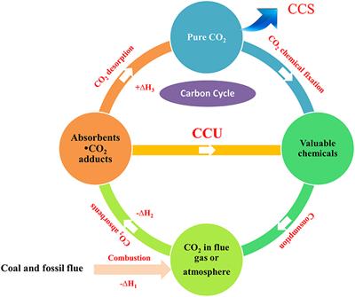 CO2 Capture and in situ Catalytic Transformation